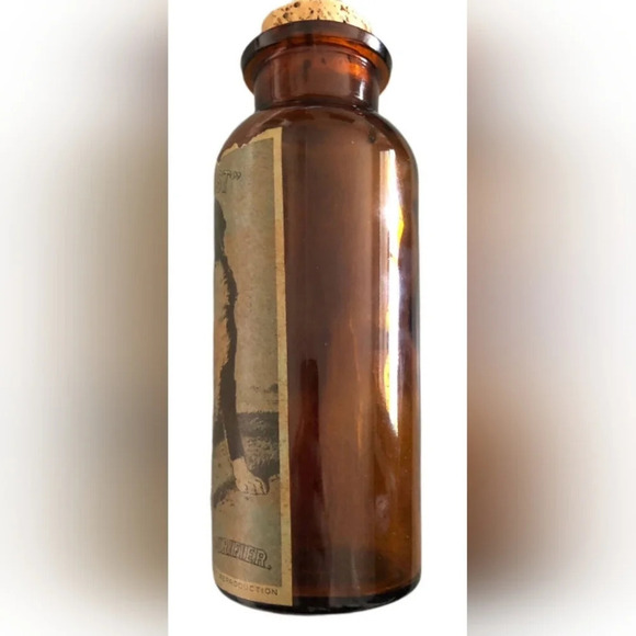 TCW Wheaton Amber Our Trust Vegetine Blood Purifier Saint Bernard Bottle - Picture 5 of 10